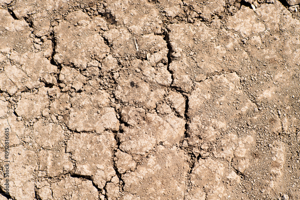 Fototapeta premium Cracked dry brown soil background, global warming effect