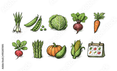Vegetable, organic flat icon set. Fresh produce, farming icons flat collection