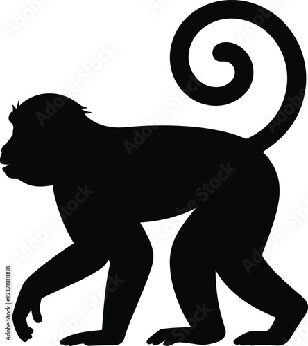 Monkey silhouette isolated on white background, wild primate side view with curled tail, black vector illustration icon representing jungle wildlife and animal behavior.