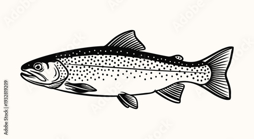 Black and white trout fish illustration on light background