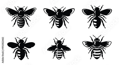 Six Black Bee Silhouettes on White Background insect