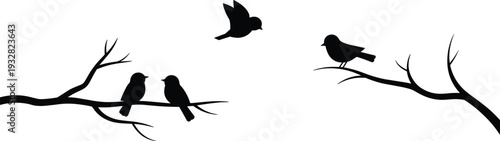 Bird silhouettes on tree branches isolated on white background, black flying and perched birds collection for nature illustration, woodland decor and logo design
