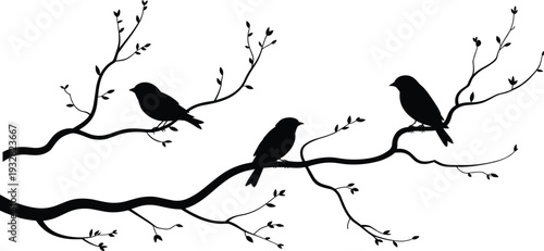 Bird silhouettes perched on leafy tree branches isolated on white background, minimalist black wildlife illustration set for nature decor, woodland design and wall art