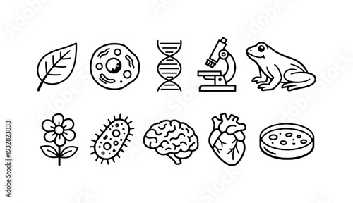 Education, learning flat icon set. School, study tools icons collection for digital use