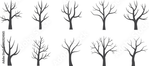 Leafless tree silhouettes collection isolated on white background, minimalist winter forest trees set for nature illustration, landscape design, Halloween decor and woodland artwork