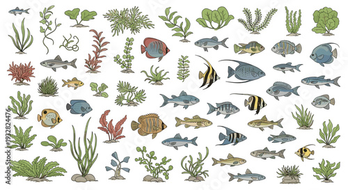 Huge variety of colorful fish species and diverse aquatic plants arranged in a comprehensive set for aquarium or nature study design projects.