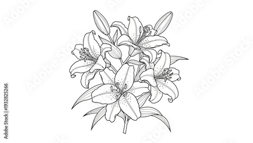 Lily flower bouquet coloring page outline illustration on white background