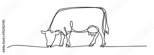 Continuous line drawing of a grazing dairy cow for farm animal concepts, agricultural branding, or minimalist animal themed merchandise