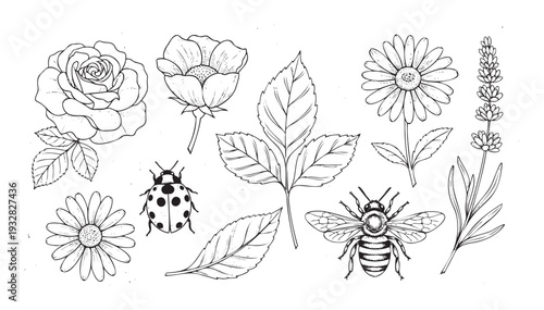 A collection of black and white line sketches featuring a blossoming rose, cheerful daisies, calming lavender sprigs, a detailed ladybug, and a striped bumblebee for spring and
