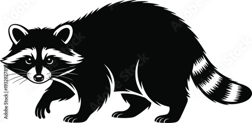 Raccoon Silhouette in Walking Pose with Detailed Fur and Tail Isolated on White Background Black Vector Illustration for Wildlife Forest and Animal Design