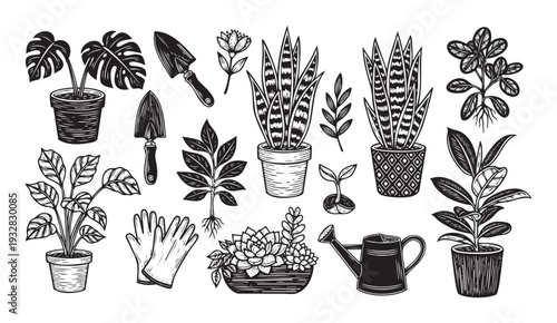 A comprehensive collection of handdrawn woodcut style illustrations featuring popular house plants and essential gardening tools perfect for botanical themed decorations and home garden