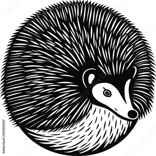 Vector hedgehog icon