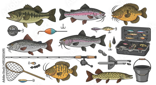 Various fish and fishing equipment illustration, perfect for angling enthusiasts and outdoor activities.
