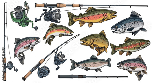 Various fishing rods and reels with colorful trout fish illustrations for angling.