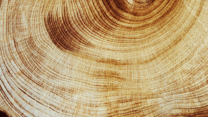 Fototapete Brennholz Textur Natural wooden background, close up wood annual rings form. Top view of cross section of juniper tree, graphic nature organic pattern. Sawed timber with tree ring print, natural textures banner  © yrabota