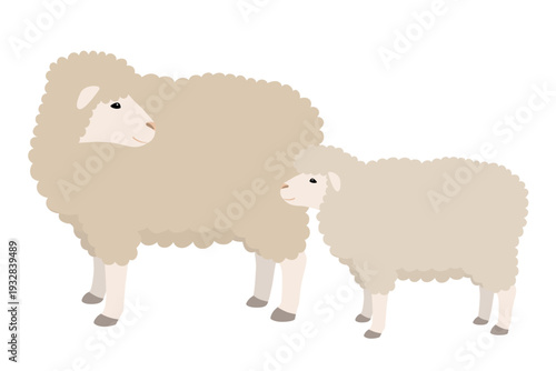 羊の親子のベクターイラスト