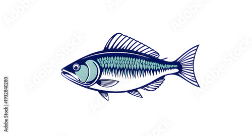 fish, vector, illustration, marine, aquatic, ocean, sea, water, animal, wildlife, seafood, fin, tail, scales, gills, swimming, nature, underwater, tropical, river, lake, freshwater, saltwater, cartoon