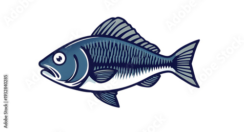 fish, vector, illustration, marine, aquatic, ocean, sea, water, animal, wildlife, seafood, fin, tail, scales, gills, swimming, nature, underwater, tropical, river, lake, freshwater, saltwater, cartoon