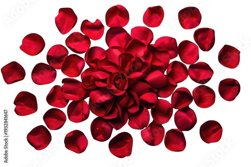 Red rose petals scattered, forming heart shape and symbolizing love, romance, passion, wedding, and valentine's day