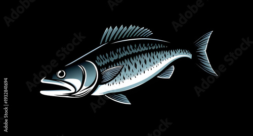 fish, vector, illustration, aquatic, marine, ocean, sea, water, animal, wildlife, seafood, fin, fins, tail, scales, gills, swimming, nature, underwater, tropical, river, lake, fresh, saltwater, cartoo