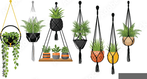 Set of hanging plants in macrame holders and indoor flower pots