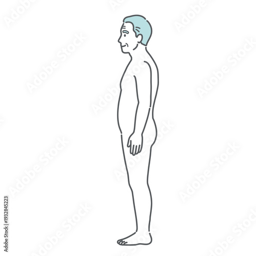シニア男性（高齢者）の人体図・全身モデルのイラスト（側面・横向き）