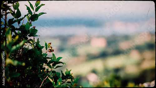 Wallpaper Mural Branch leafy shrub in foreground with soft bokeh countryside hills and vintage film grain texture, natural outdoor background copy space Torontodigital.ca