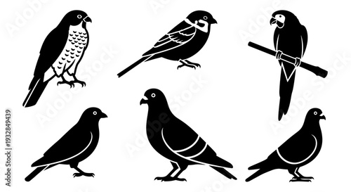 Diverse bird silhouettes collection: hawk, sparrow, parrot, and pigeons in black and white graphic style