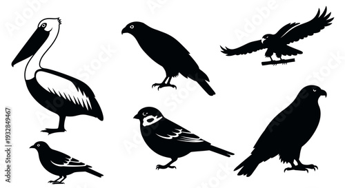 Diverse Bird Silhouettes Collection: Pelican, Eagle, Sparrow, and Other Avian Species