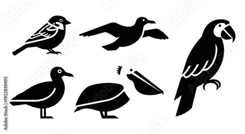 Diverse Bird Silhouettes Collection: Sparrow, Duck, Pelican, Parrot, and Flying Bird Icons