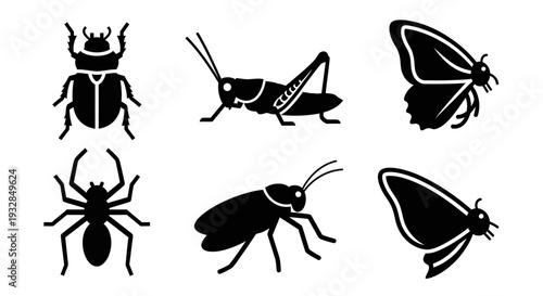 Diverse Insect Silhouettes Collection: Beetle, Grasshopper, Spider, Butterfly Icons on White
