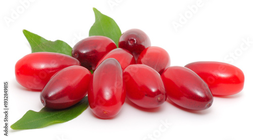 Ripe red cornelian cherry dogwood berries isolated on white background