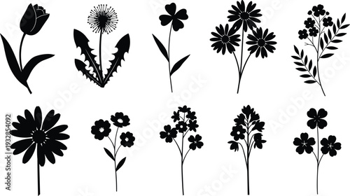 Wildflower and botanical silhouette set with tulip daisy dandelion and clover for garden nature cad drawing flat vector illustration design,