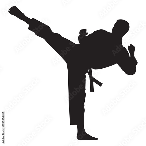 Silhouette of a martial artist kicking in mid air with a dynamic pose and black belt against a clean white background