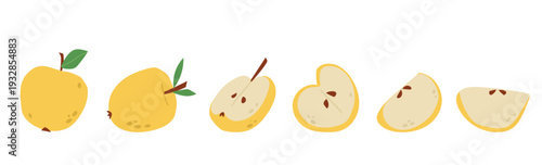 Yellow apple fruit vector set isolated on white background. Whole, half, slice apple. Flat hand drawn style illustration