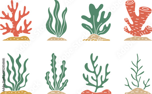 Set of colorful coral reef illustrations with various seaweed and marine plants isolated on transparent background.
