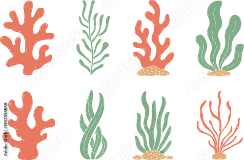 Set of colorful coral reef illustrations with various seaweed and marine plants isolated on transparent background.