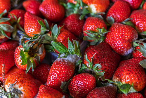 Konstfotografi Close-up of red strawberries with white mold spots showing clear signs of spoilage and risk
