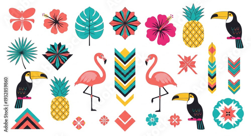 Colorful tropical illustrations featuring flamingos, toucans, pineapples, and flowers.