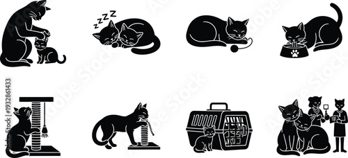 Icon bundle featuring cats in various scenes and poses
