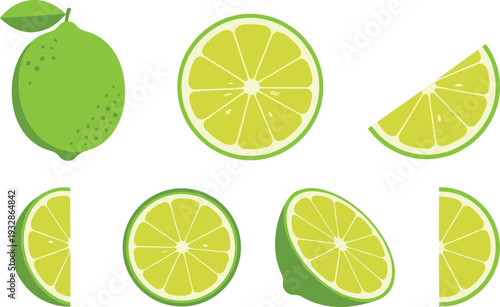 Fresh Yellow Lemon Collection with Whole Fruit, Slices and Wedges Isolated on Light Background Vector Illustration