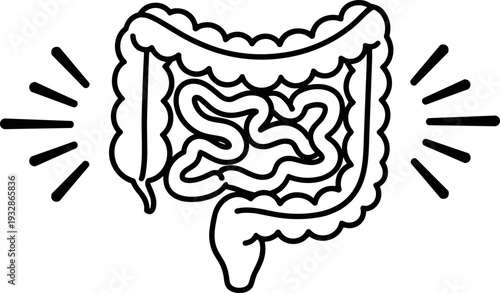 Human Digestive System Intestines Icon Line Art Illustration of Colon Anatomy and Gut Health Medical Vector Graphic