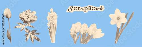 Vintage halftone spring flower scrapbook set isolated on blue background. Vector illustration 