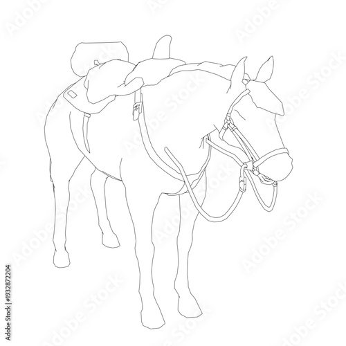 A black and white contour drawing of a saddled horse stands isolated on a clean white background.