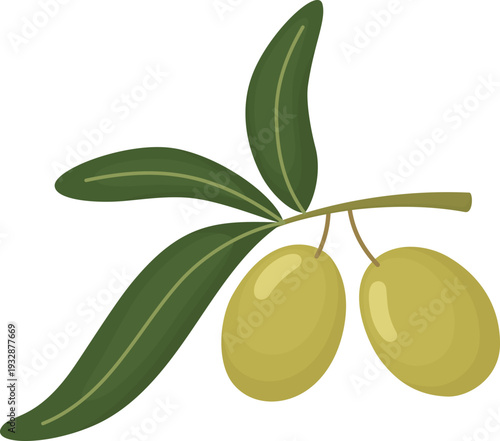 Delicate illustration of small tree branch with two green olives and leaves. Mediterranean healthy food concept