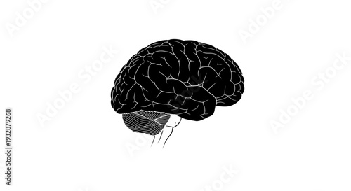 Black brain silhouette on white background, medical illustration, neuroscience concept
