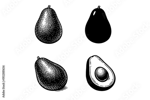 Black and white avocado illustrations: whole and halved views