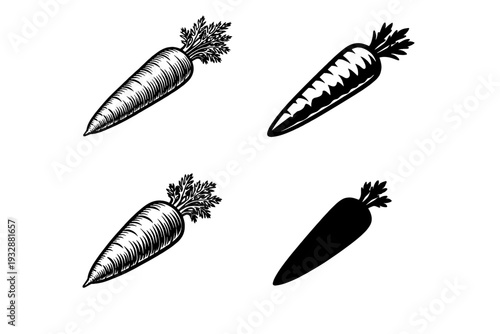 Four black and white carrot illustrations with different styles