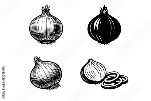 Set of four vintage onion illustrations in black and white