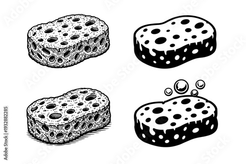 Vintage and modern sponge illustrations with detailed patterns
